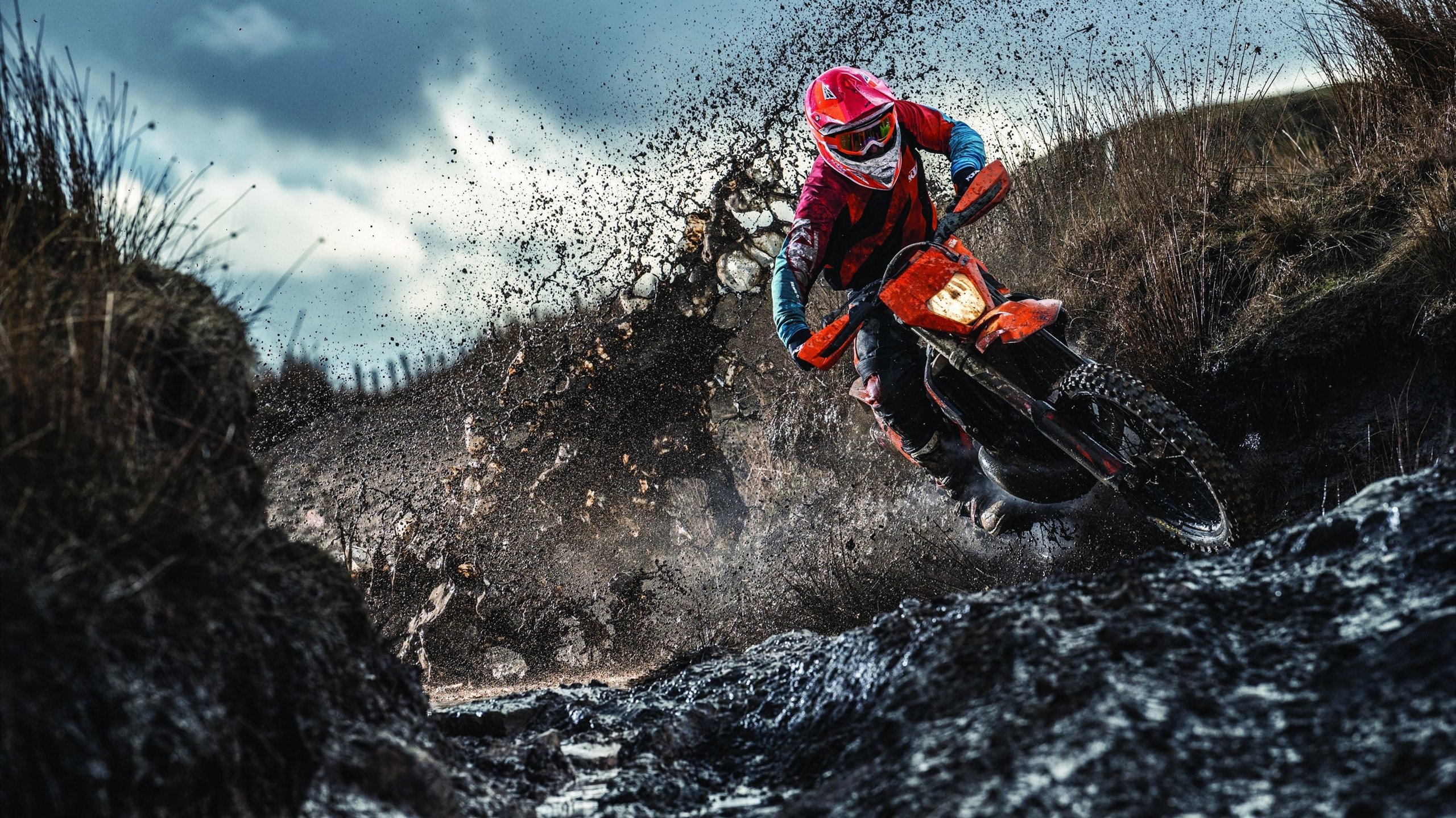 加拿大队在国际乒联混合团体世界杯中的亮眼表现分析，加拿大队乒乓球